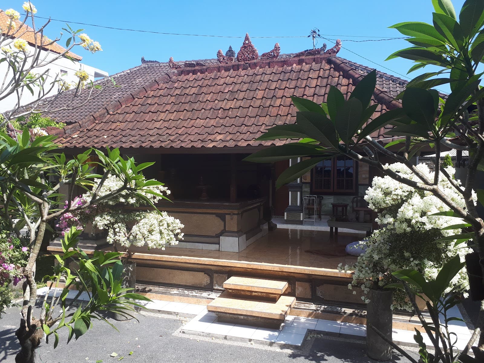 Leo Homestay Canggu - Canggu - Indonesia