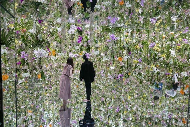 teamLab Planets TOKYO DMM - Tokyo - Japan - Booked ai