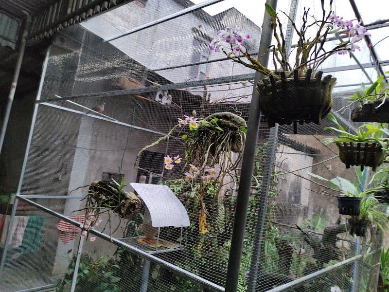 Top Seasons to Explore Vinh