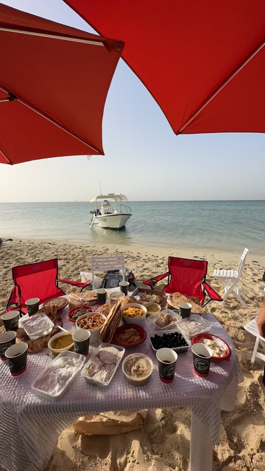 Best Time to Visit Yanbu