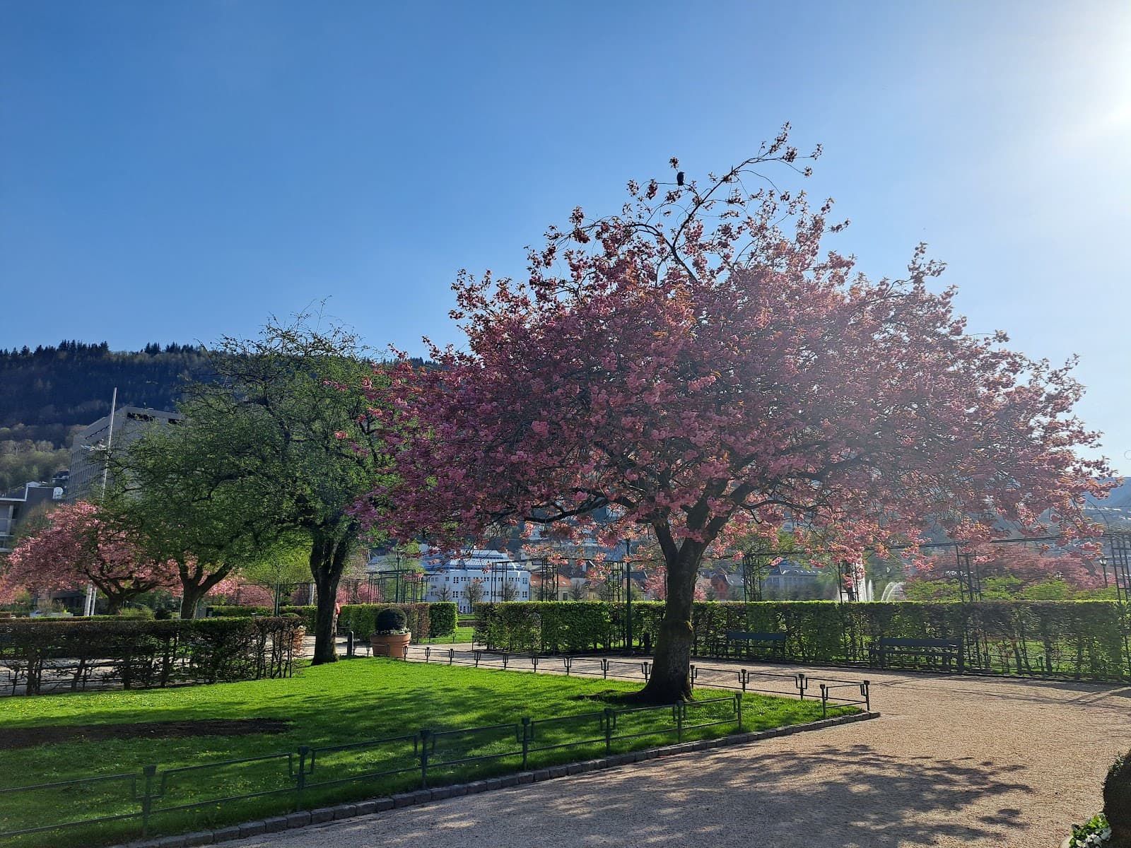 Fiskeren - Bergen - Norway